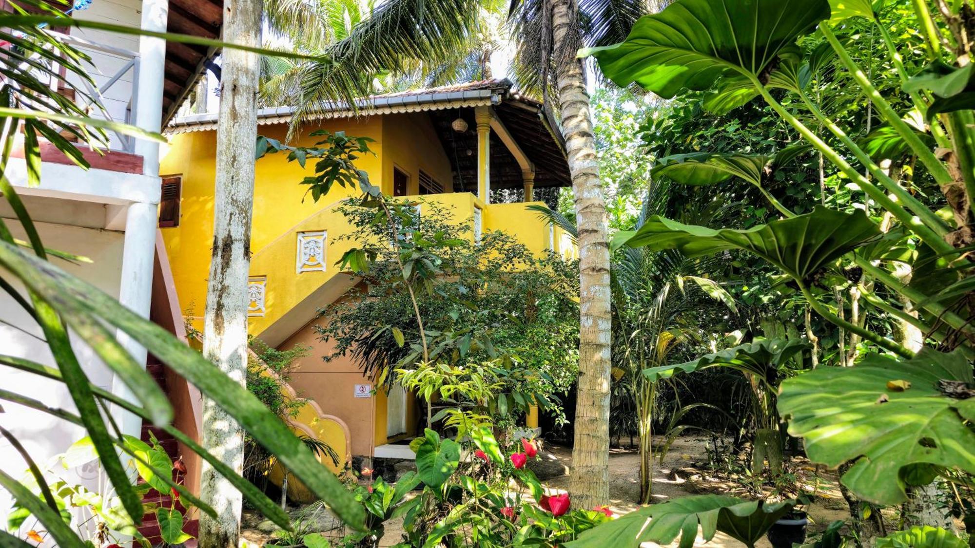 Flora And Fauna Mirissa Rom bilde
